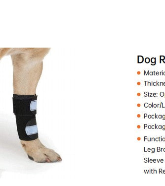 EVIDA Dog Front Leg Brace - Neoprene Joint Support with Metal Springs (ZLDFB01)